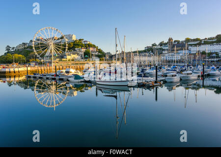 Frühen Morgen Ruhe in Torquay Hafen Devon UK Stockfoto