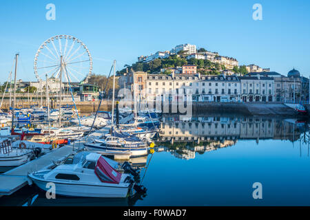 Frühen Morgen Ruhe in Torquay Hafen Devon UK Stockfoto