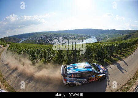 Piesporth, Deutschland. 21. August 2015. Motorsport: Rallye Deutschland WM 9. Runde: Sebastien Ogier Und Julien Ingrassia beide aus Frankreich in ihren Volkswagen Polo R-WRC durch in den Weinbergen in der Nähe von Piesporth, Deutschland, 21. August 2015 fahren. Foto: THOMAS FREY/Dpa/Alamy Live News Stockfoto