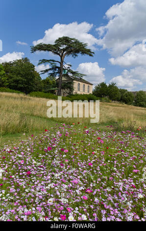 Wildblumen wachsen auf dem Gelände des Compton Verney Haus; Garten, gestaltet von Dan Pearson im Stil Arts & Handwerk Stockfoto