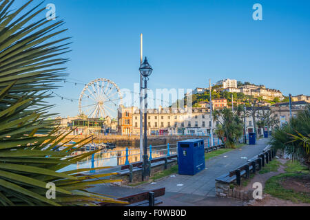 Wurf, verstreut über Pflaster nach am Vorabend in Torquay Hafen Devon UK Stockfoto