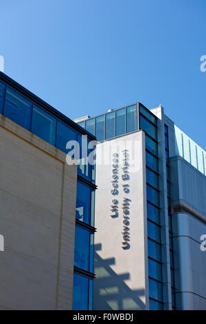 Universität von Bristol neue Life Sciences building Stockfoto