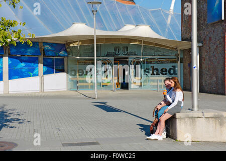 Bristol-Aquarium Stockfoto