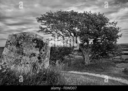 Schwarzweißansicht von Brent Tor am westlichen Rande von Dartmoor nach Osten mit einem Grabstein aus der Kirche. Stockfoto