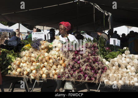 Menschen-Shop für gesunde frische Lebensmittel an der Grand Army Plaza Farmers Market in Park Slope, Brooklyn, NY. Stockfoto