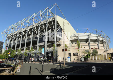 St James' Park Stadion in Newcastle-upon-Tyne, England. Newcastle United Football Club spielen ihre Häuser im Stadion. Stockfoto