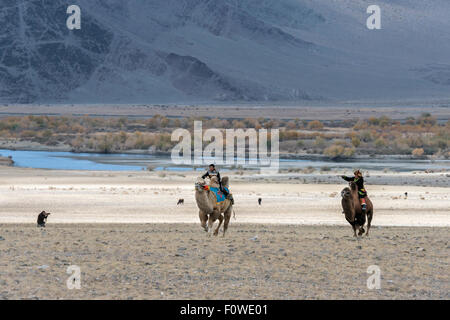 Die Staats-und Regierungschefs, Kamel-Rennen, Eagle Festival, Ölgii, westliche Mongolei Stockfoto