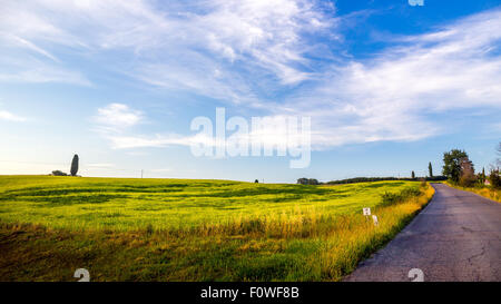 Toskanischer Morgen Landschaft mit grünen Wiesen und leere Straße Stockfoto