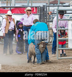 Estes Park, Colorado - Kinder im Alter von 5-8 Fahrt Schafe während der Mutton Bustin ' Wettbewerb beim Rodeo auf dem Dach. Stockfoto