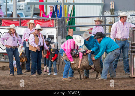 Estes Park, Colorado - Kinder im Alter von 5-8 Fahrt Schafe während der Mutton Bustin ' Wettbewerb beim Rodeo auf dem Dach. Stockfoto