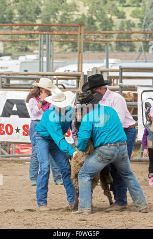 Estes Park, Colorado - Kinder im Alter von 5-8 Fahrt Schafe während der Mutton Bustin ' Wettbewerb beim Rodeo auf dem Dach. Stockfoto