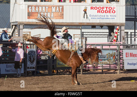 Estes Park, Colorado - Bareback riding Wettbewerb beim Rodeo auf dem Dach. Stockfoto