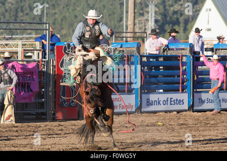 Estes Park, Colorado - Bareback riding Wettbewerb beim Rodeo auf dem Dach. Stockfoto