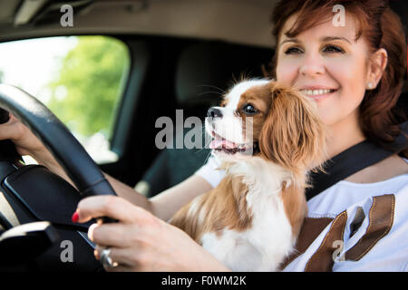Reife Frau und ihr Kavalier Hund zusammen hinter Auto Lenkung Stockfoto