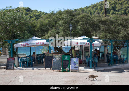 Eine kleine Taverne in Assos auf der griechischen Insel Kefalonia, Heimat der Film "Corellis Mandoline" Stockfoto