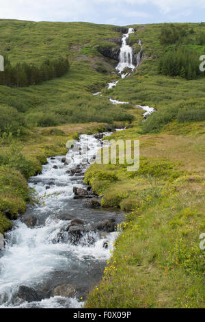 Islands Westfjorde (Westfjorde). Isafjördur, die größte Siedlung in der Westfjorde. Tungudalur Wasserfall. Stockfoto