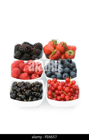 Redcurrants, Blackcurrants, Blackberries, Strawberries, Raspberries and Blueberries in white bowls on a white background. Stockfoto