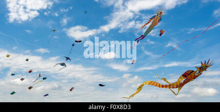 Durdham Down, Bristol, UK.  Samstag, 22. August 2015.   Das jährliche Bristol International Kite Festival hat aus seiner vorherigen Position in die Tiefen der Stadt verschoben. Das Wetter war freundlich mit blauem Himmel und hohe Temperaturen bringen die Massen, aber leichtem Wind machte es schwierig aber nicht abschrecken Bemühungen der Kite Clubs anzeigen, viele Attendng aus aller Welt. Allerlei bunten Drachen, Schalen, Fahnen und Banner wurden im Wind flattern. Bildnachweis: Carolyn Eaton/Alamy Live-Nachrichten Stockfoto