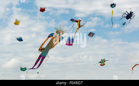 Durdham Down, Bristol, UK.  Samstag, 22. August 2015.   Das jährliche Bristol International Kite Festival hat aus seiner vorherigen Position in die Tiefen der Stadt verschoben. Das Wetter war freundlich mit blauem Himmel und hohe Temperaturen bringen die Massen, aber leichtem Wind machte es schwierig aber nicht abschrecken Bemühungen der Kite Clubs anzeigen, viele Attendng aus aller Welt. Allerlei bunten Drachen, Schalen, Fahnen und Banner wurden im Wind flattern. Bildnachweis: Carolyn Eaton/Alamy Live-Nachrichten Stockfoto