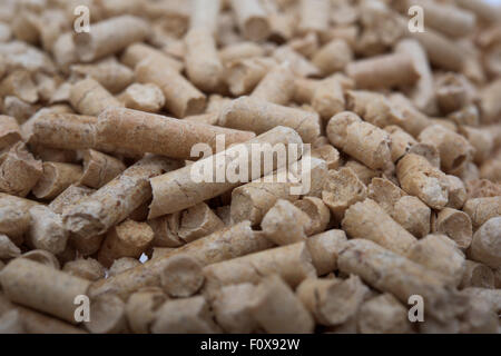 Biomasse-Pellets, Nahaufnahme, Tanne, pellets Stockfoto