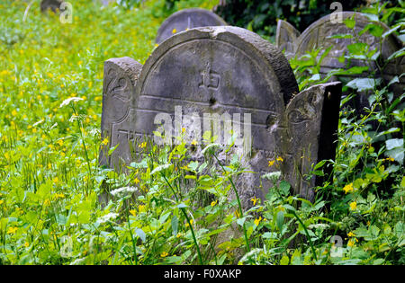 Alte Grabsteine abgedeckt im Moos am jüdischen Friedhof in Warschau, Polen. Stockfoto