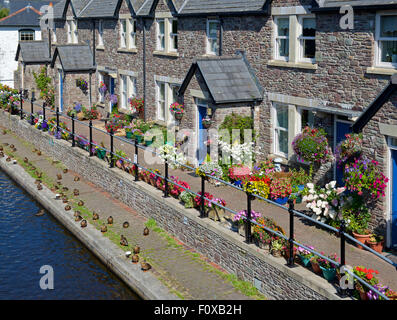 Die Kanal-Becken in Brecon, Brecon und Monmouthshire Kanal, Powys, Wales UK Stockfoto