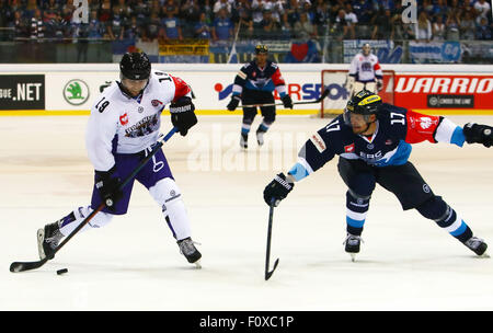 Ingolstadt, Deutschland. 22. August 2015. Champions Hockey League. ERC Ingolstadt vs. Braehead Glasgow. Thomas NESBITT (Glasgow) und Petr TATICEK (Ingolstadt) Credit: Action Plus Sport/Alamy Live News Stockfoto