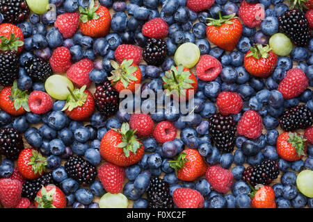 Brombeeren, Trauben, Erdbeeren, Himbeeren und Blaubeeren auf einem Holztablett. Stockfoto