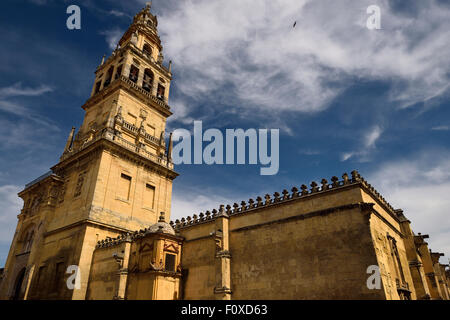 Nordseite der Kathedrale Cordoba Moschee mit Minarett nun bell Turm von Mariä Himmelfahrt-Kirche Stockfoto