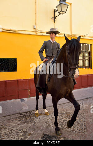 Pferd und Reiter Werbung der Pferdesport Show mehrfach Straße Cordoba Stockfoto