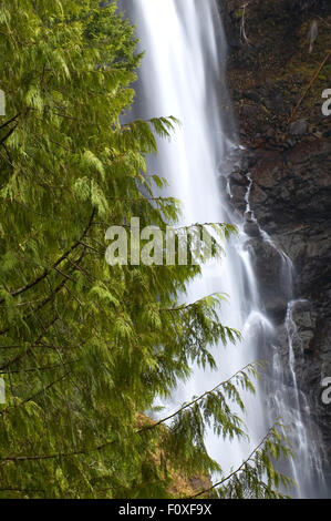 Nahen Wallace fällt, Wallace Falls State Park, Washington Stockfoto