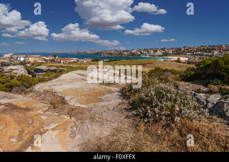 Bondi Beach genommen von den Klippen am Golfplatz North Bondi Stockfoto