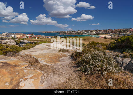 Bondi Beach genommen von den Klippen am Golfplatz North Bondi Stockfoto