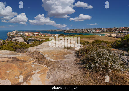 Bondi Beach genommen von den Klippen am Golfplatz North Bondi Stockfoto