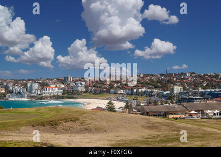 Bondi Beach Golfplatz North Bondi getroffen Stockfoto