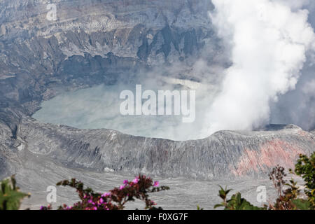 Eine Nahaufnahme von den See und die Caldera mit Pflaumen von heißem Dampf steigt aus Poas Vulkan in Costa Rica. Stockfoto