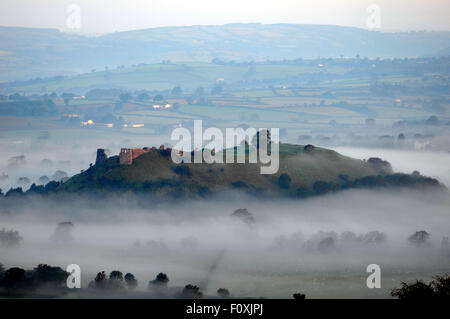 Dryslyn Burg in Nebel gehüllt Stockfoto