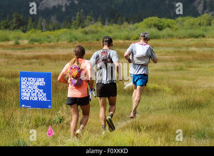 Leadville, Colorado, USA. 22. August 2015. Ultra Langstreckenläufer gebunden für den schwierigen Hoffnung Pass während Leadville Trail 100, Leadville, CO. Credit: Csm/Alamy Live-Nachrichten Stockfoto