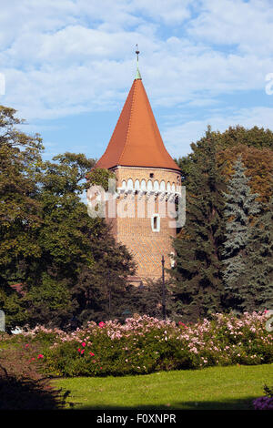 Baszta Pasamonikow gotischen Turm und Planty-Park in Krakau, Polen, Teil der alten Stadtbefestigung Wand. Stockfoto