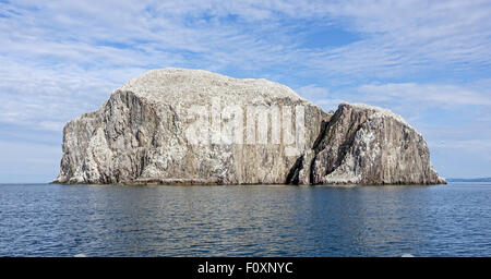 Der Bass Rock in den Firth of Forth East Lothian Schottland Stockfoto