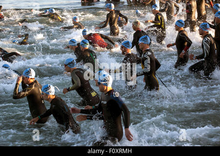 Kopenhagen, Dänemark, 23. August 2015. Triathleten tritt das Wasser für die 3,8 km Schwimmen-Bühne in KMD Ironman Kopenhagen. Einige 3000 Atlethes aus 57 Ländern teilgenommen. Bildnachweis: OJPHOTOS/Alamy Live-Nachrichten Stockfoto