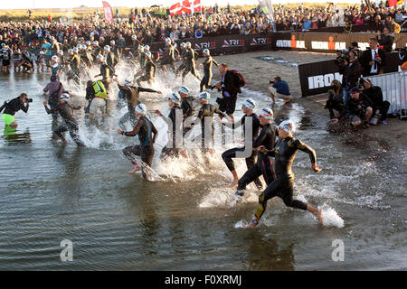 Kopenhagen, Dänemark, 23. August 2015. Professionelle Triathleten tritt das Wasser für die 3,8 km Schwimmen-Bühne in KMD Ironman Kopenhagen. Einige 3000 Atlethes aus 57 Ländern teilgenommen. Bildnachweis: OJPHOTOS/Alamy Live-Nachrichten Stockfoto