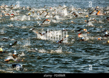 Kopenhagen, Dänemark, 23. August 2015. Triathleten im Wasser für die 3,8 km Schwimmen-Bühne in KMD Ironman Kopenhagen. Einige 3000 Atlethes aus 57 Ländern teilgenommen. Bildnachweis: OJPHOTOS/Alamy Live-Nachrichten Stockfoto