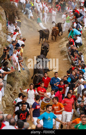 Das Stiertreiben "Encierro del Pilón" Falces, Navarra, Spanien Stockfoto