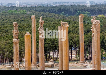 Persepolis antiken Säulen Stockfoto