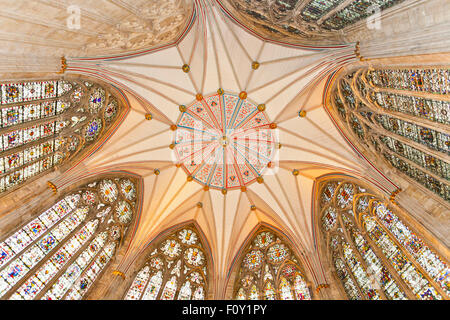 Die komplizierte gebeizt Glas und Stuckarbeiten an der Decke der Kapitelsaal des York Minster, North Yorkshire, England, UK Stockfoto