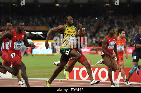 Peking, China. 23. August 2015. Jamaikas Usain Bolt (3. L) und Justin Gatlin (2. L) konkurrieren, während die Männer 100m-Finale bei den IAAF Weltmeisterschaften 2015 in Peking, Hauptstadt von China, am 23. August 2015. Bildnachweis: Xinhua/Alamy Live-Nachrichten Stockfoto