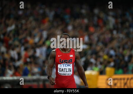 Peking, China. 23. August 2015. Justin Gatlin reagiert nach die Männer 100m-Finale bei den IAAF Weltmeisterschaften 2015 in Peking, Hauptstadt von China, am 23. August 2015. Bildnachweis: Xinhua/Alamy Live-Nachrichten Stockfoto