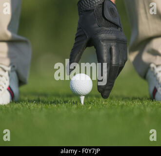 Nahaufnahme Bild von Hand Golfball mit Tee auf Kurs hält. Die Hand des Mannes in Leder Handschuh gehen, berühren Sie den Ball isoliert auf g Stockfoto