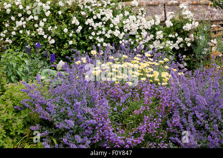 Sommer blühenden Garten Grenze in Großbritannien Stockfoto